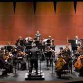 Greenville County Youth Orchestra in Greenville, South Carolina - A Vision Accomplished