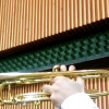 Trumpet Lesson Breath Control Demonstration - Ali Daneshkhah